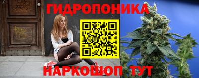 ALPHA PVP Канаш
