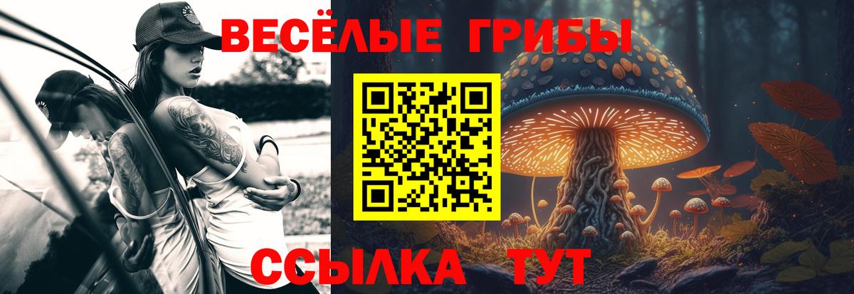 Лениногорск  Галлюциногенные грибы Cubensis  Псилоцибиновые грибы MAGIC MUSHROOMS  Вход с VPN 
